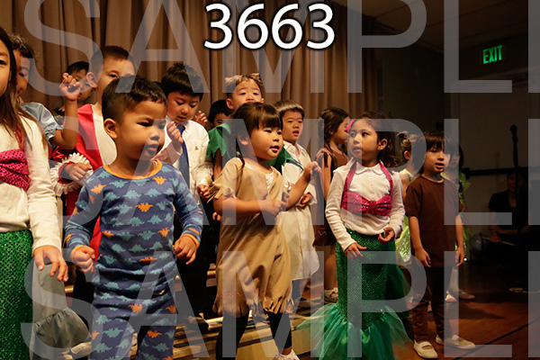 MI-RE-16-3663.jpg