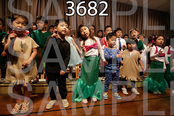 MI-RE-16-3682.jpg