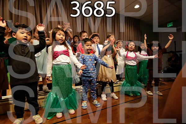 MI-RE-16-3685.jpg