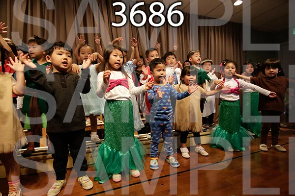 MI-RE-16-3686.jpg
