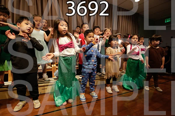 MI-RE-16-3692.jpg