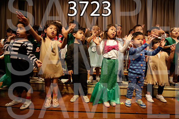 MI-RE-16-3723.jpg
