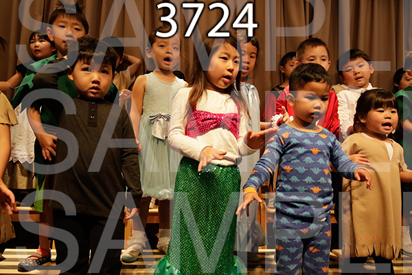 MI-RE-16-3724.jpg