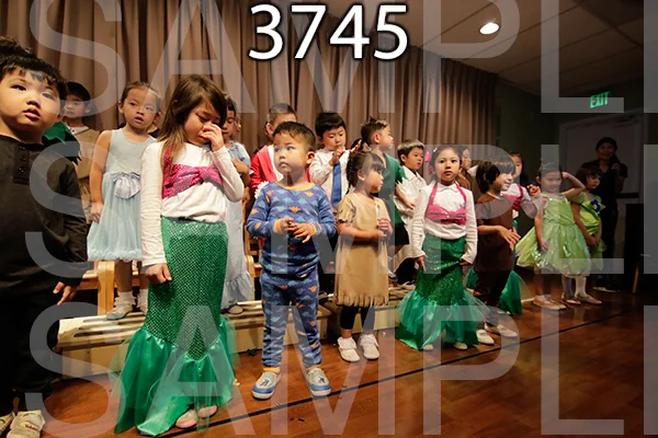 MI-RE-16-3745.jpg