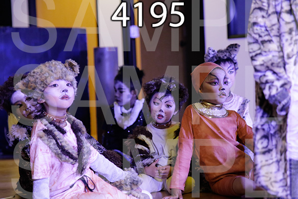 MI-RE-16-4195.jpg
