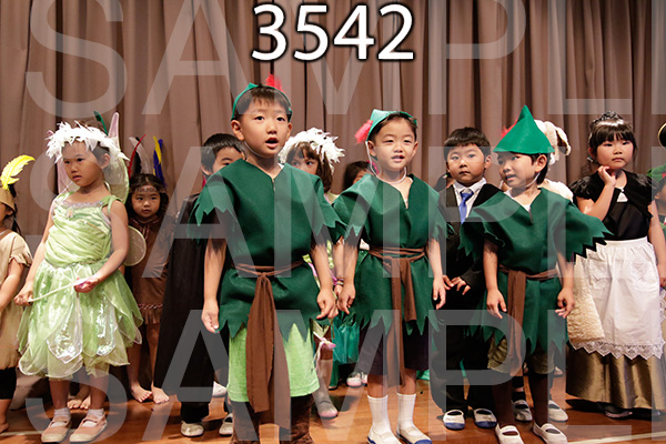 MI-RE-16-3542.jpg