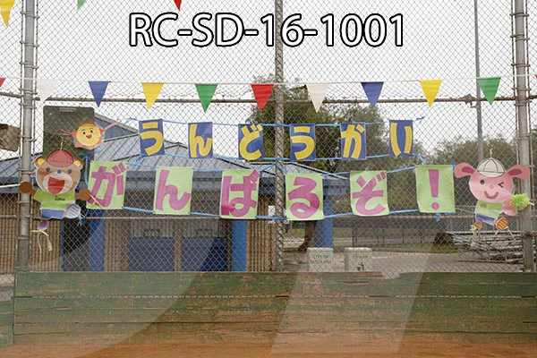 RC-SD-16-1001.jpg