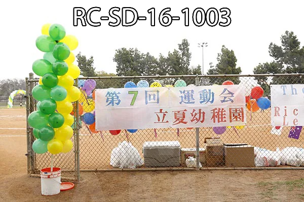 RC-SD-16-1003.jpg