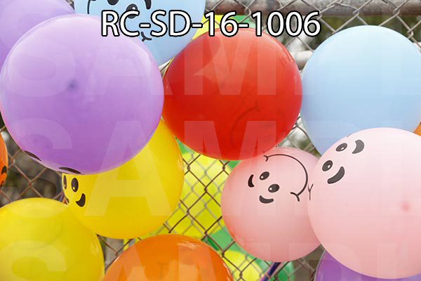 RC-SD-16-1006.jpg