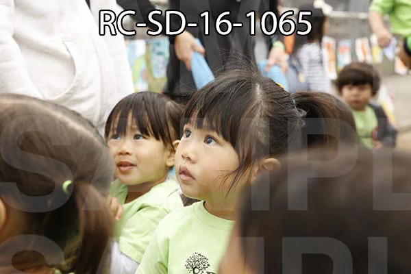RC-SD-16-1065.jpg