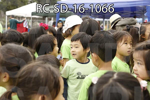 RC-SD-16-1066.jpg