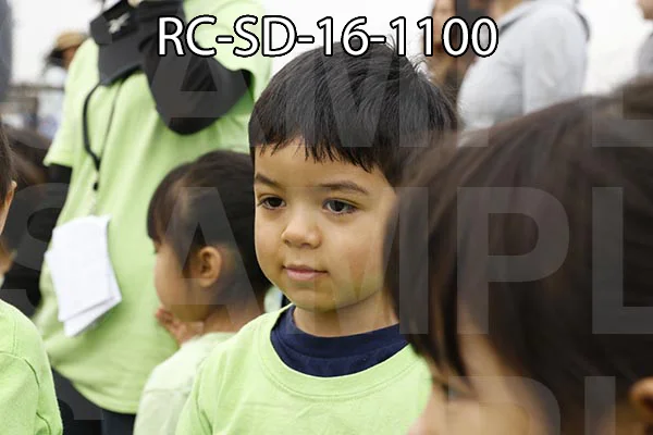 RC-SD-16-1100.jpg
