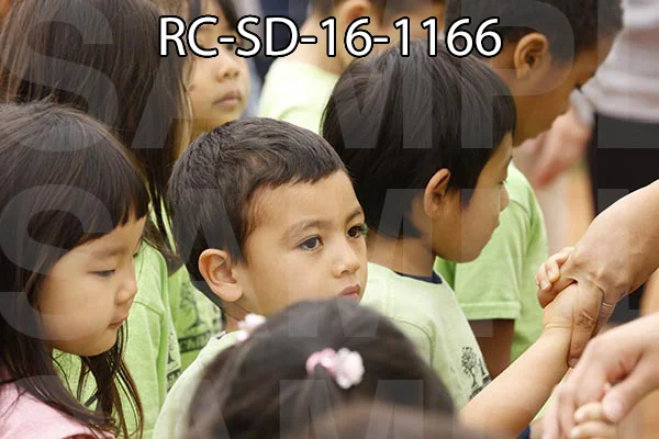 RC-SD-16-1166.jpg