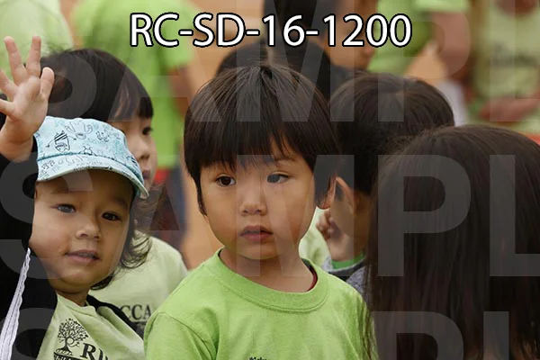 RC-SD-16-1200.jpg