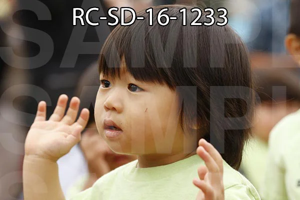 RC-SD-16-1233.jpg