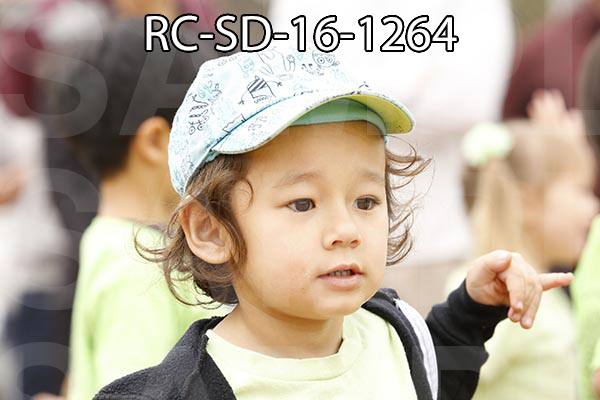 RC-SD-16-1264.jpg