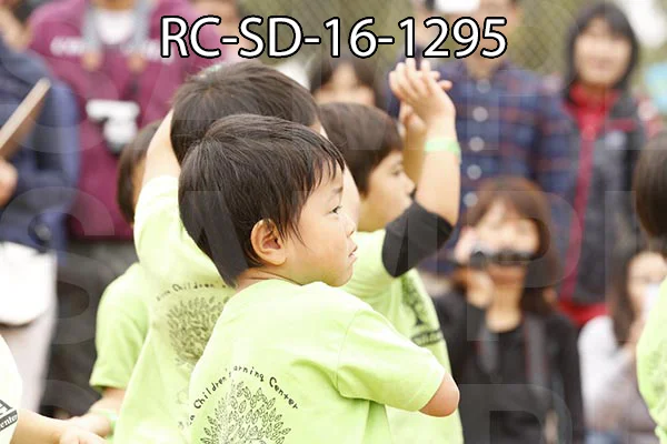 RC-SD-16-1295.jpg