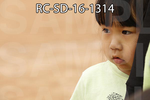 RC-SD-16-1314.jpg