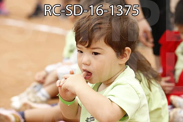 RC-SD-16-1375.jpg