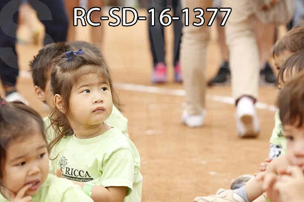 RC-SD-16-1377.jpg