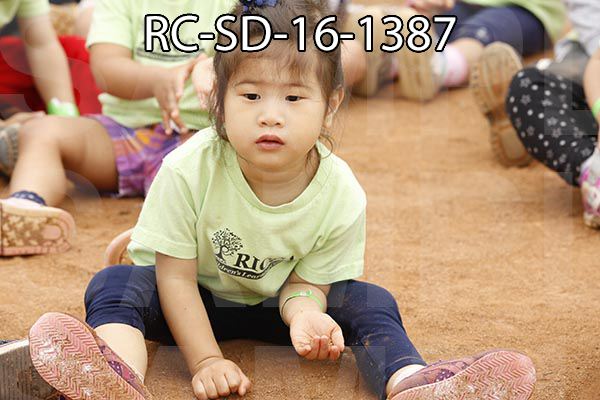 RC-SD-16-1387.jpg