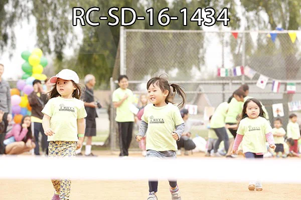RC-SD-16-1434.jpg