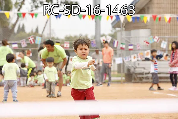 RC-SD-16-1463.jpg