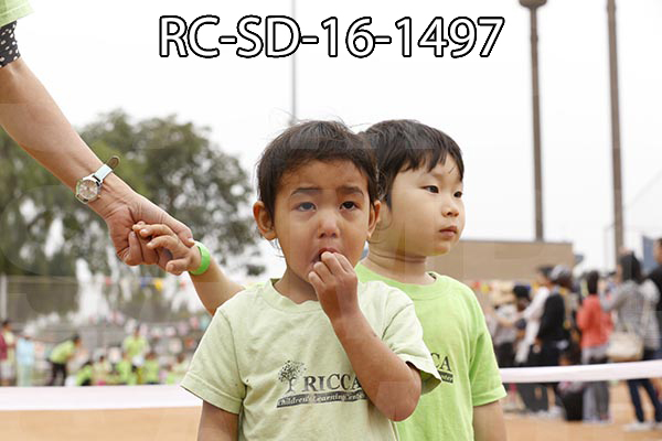 RC-SD-16-1497.jpg