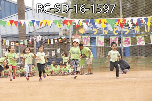 RC-SD-16-1597.jpg