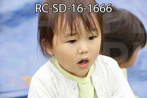 RC-SD-16-1666.jpg