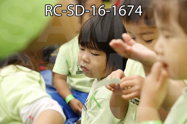 RC-SD-16-1674.jpg