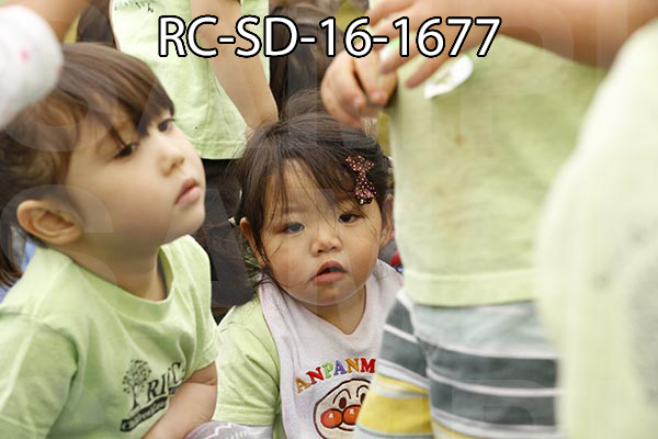 RC-SD-16-1677.jpg