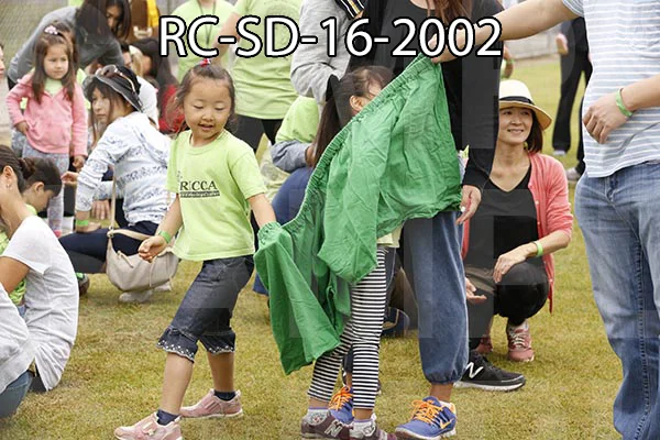 RC-SD-16-2002.jpg