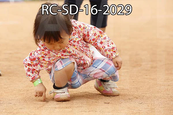 RC-SD-16-2029.jpg