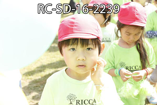 RC-SD-16-2239.jpg
