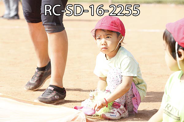 RC-SD-16-2255.jpg