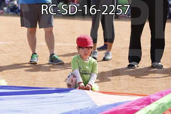 RC-SD-16-2257.jpg