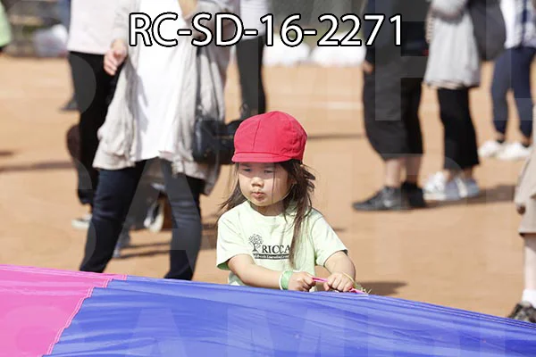 RC-SD-16-2271.jpg