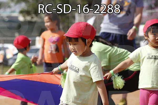RC-SD-16-2288.jpg