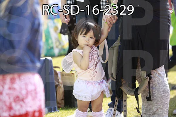 RC-SD-16-2329.jpg