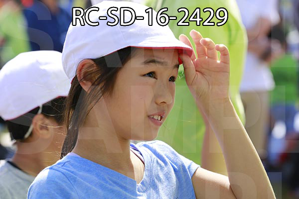 RC-SD-16-2429.jpg