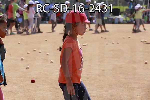 RC-SD-16-2431.jpg