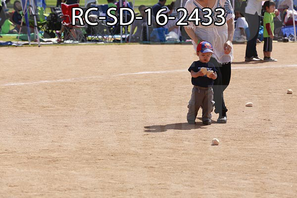RC-SD-16-2433.jpg