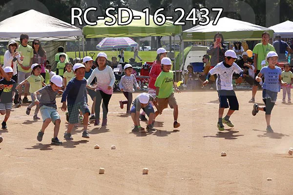 RC-SD-16-2437.jpg