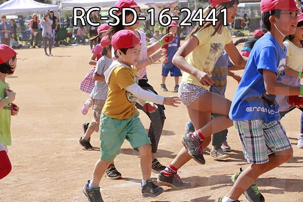 RC-SD-16-2441.jpg