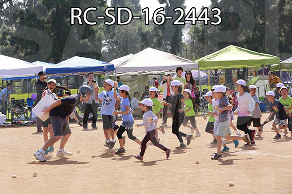 RC-SD-16-2443.jpg