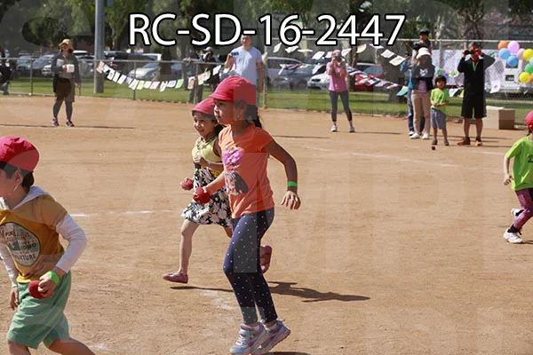 RC-SD-16-2447.jpg