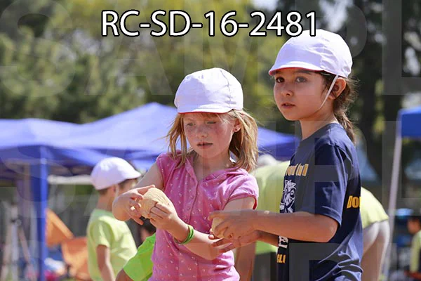 RC-SD-16-2481.jpg