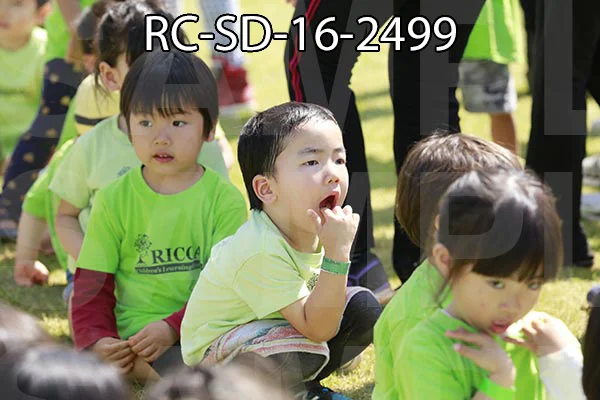 RC-SD-16-2499.jpg