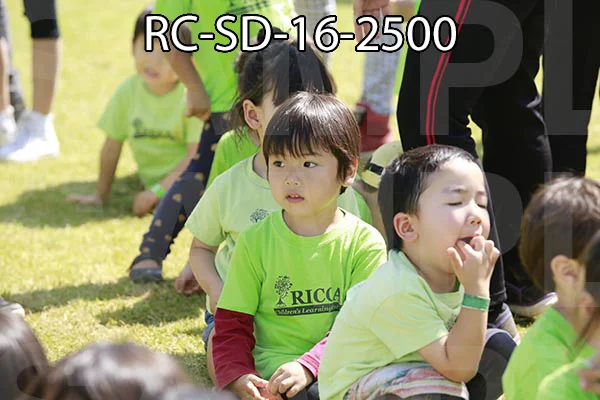 RC-SD-16-2500.jpg